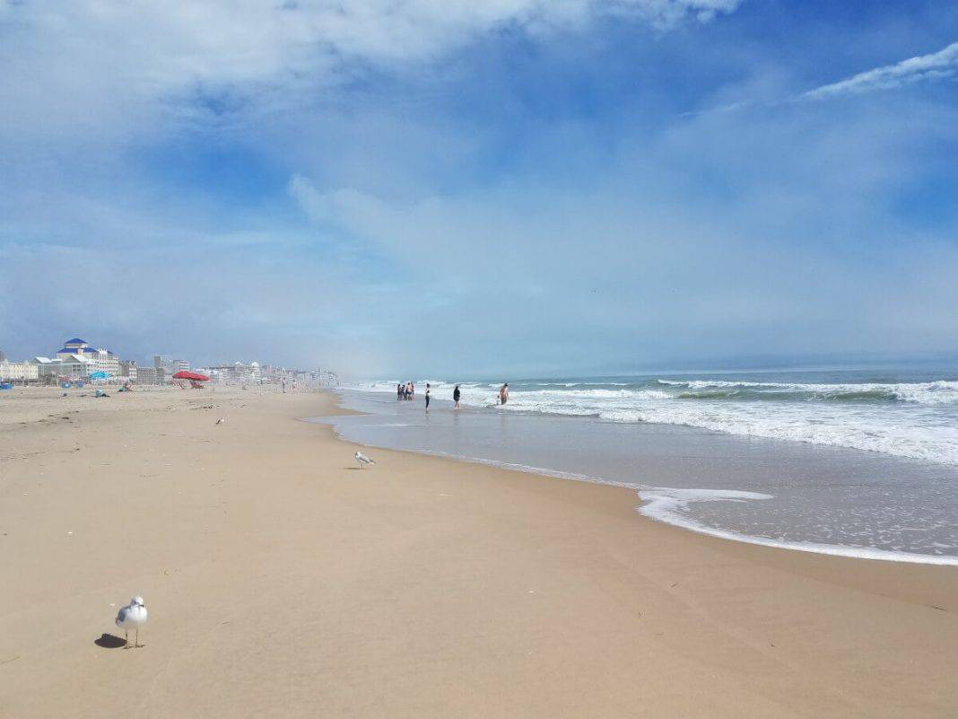 "Alexa, play Ocean City sounds": How to enjoy Ocean City virtually before summer hits
