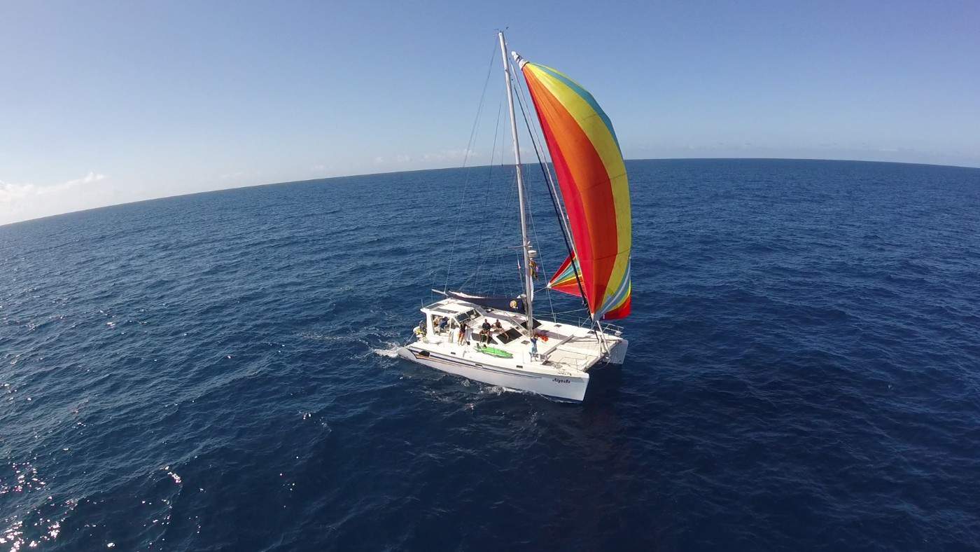 Sailin