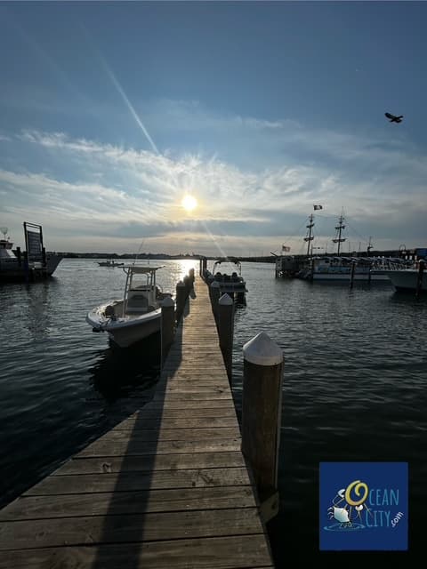 Bayside sunset