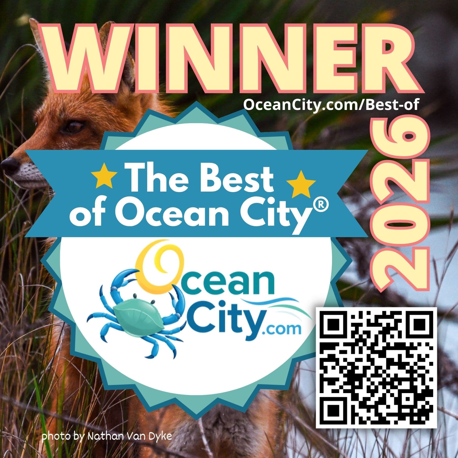 Winner — The Best of Ocean City® 2026 Photo Contest, photo of two foxes by Nathan Van Dyke