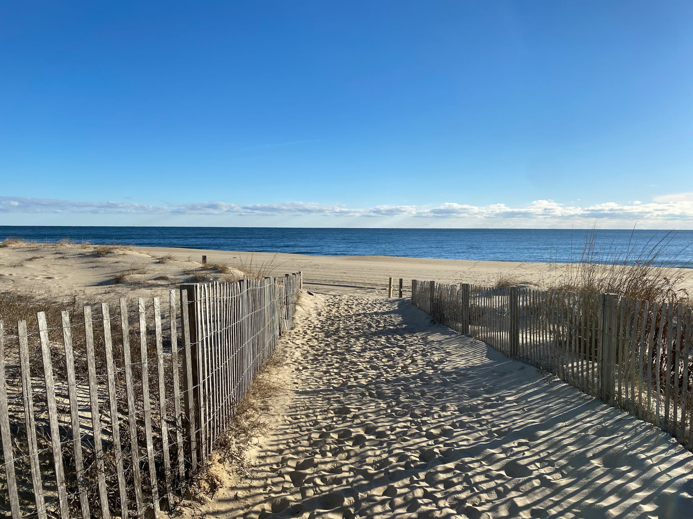 Ocean City beach and dunes at dusk