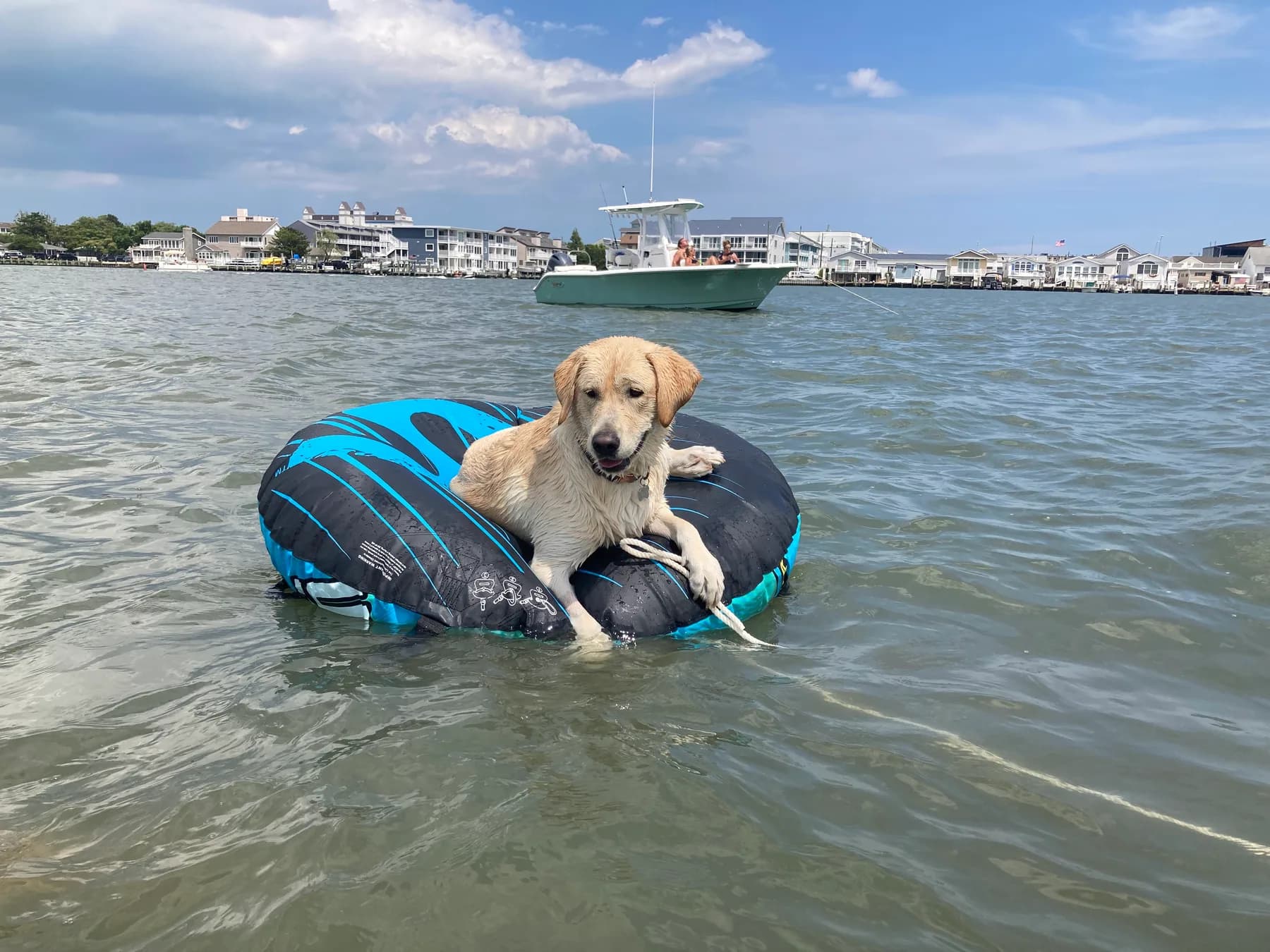 Pet-friendly Ocean City
