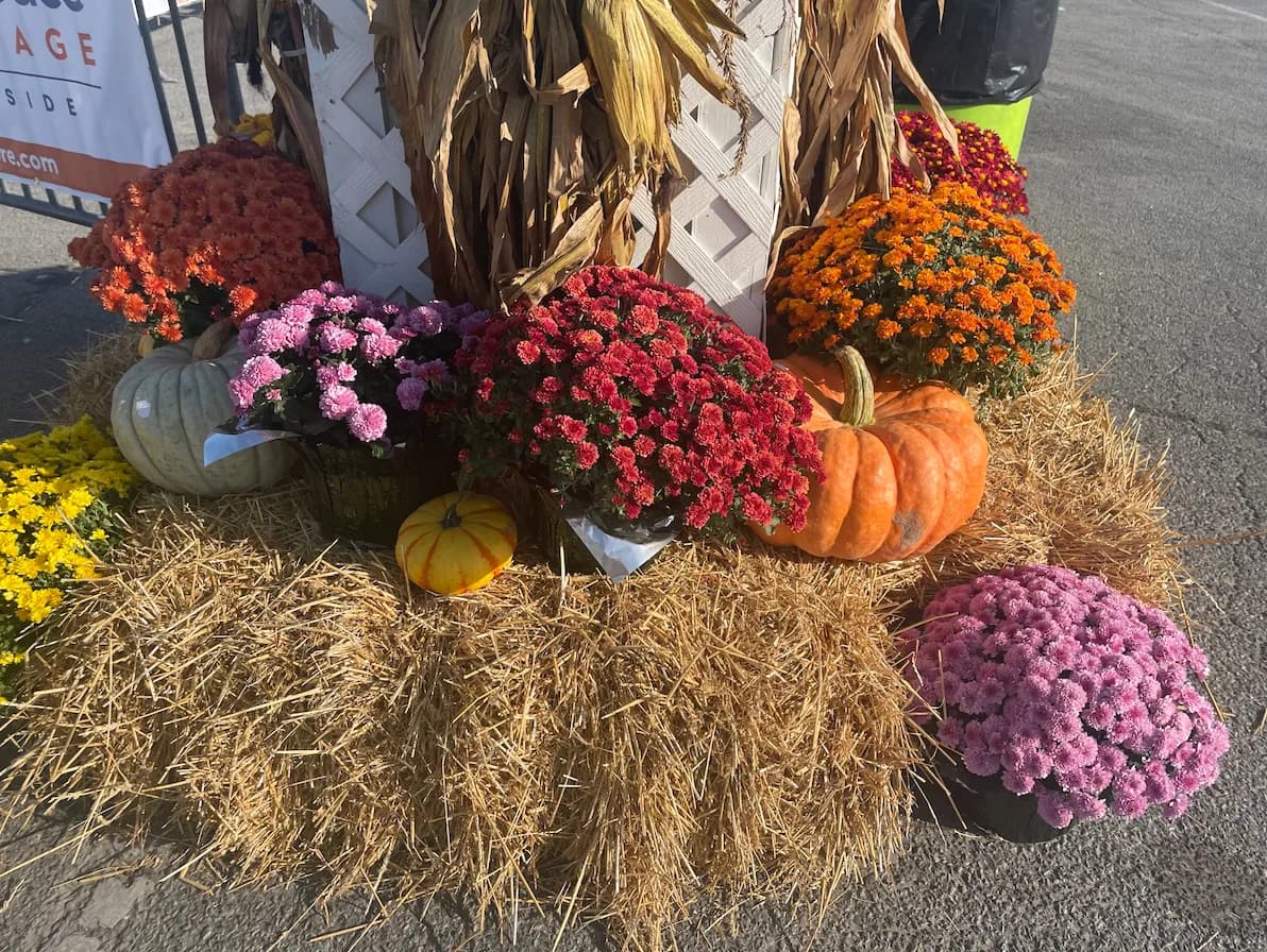 Things to Do in the Fall