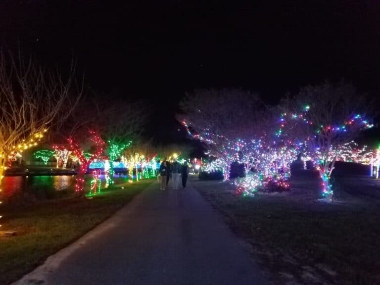 A Sparkling Winterfest of Lights