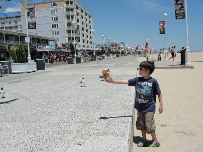 "Ocean City From a Kid's Perspective" as told by Connor Daley, age 9