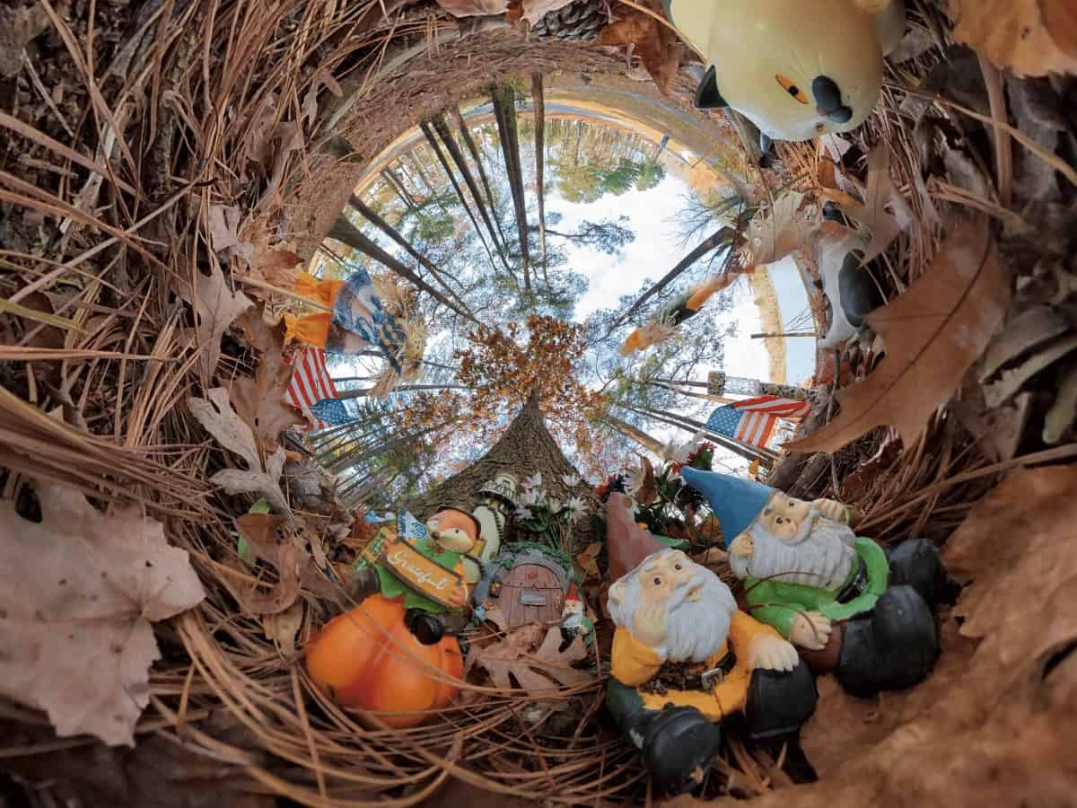 Fairy Gnome Wonderland
