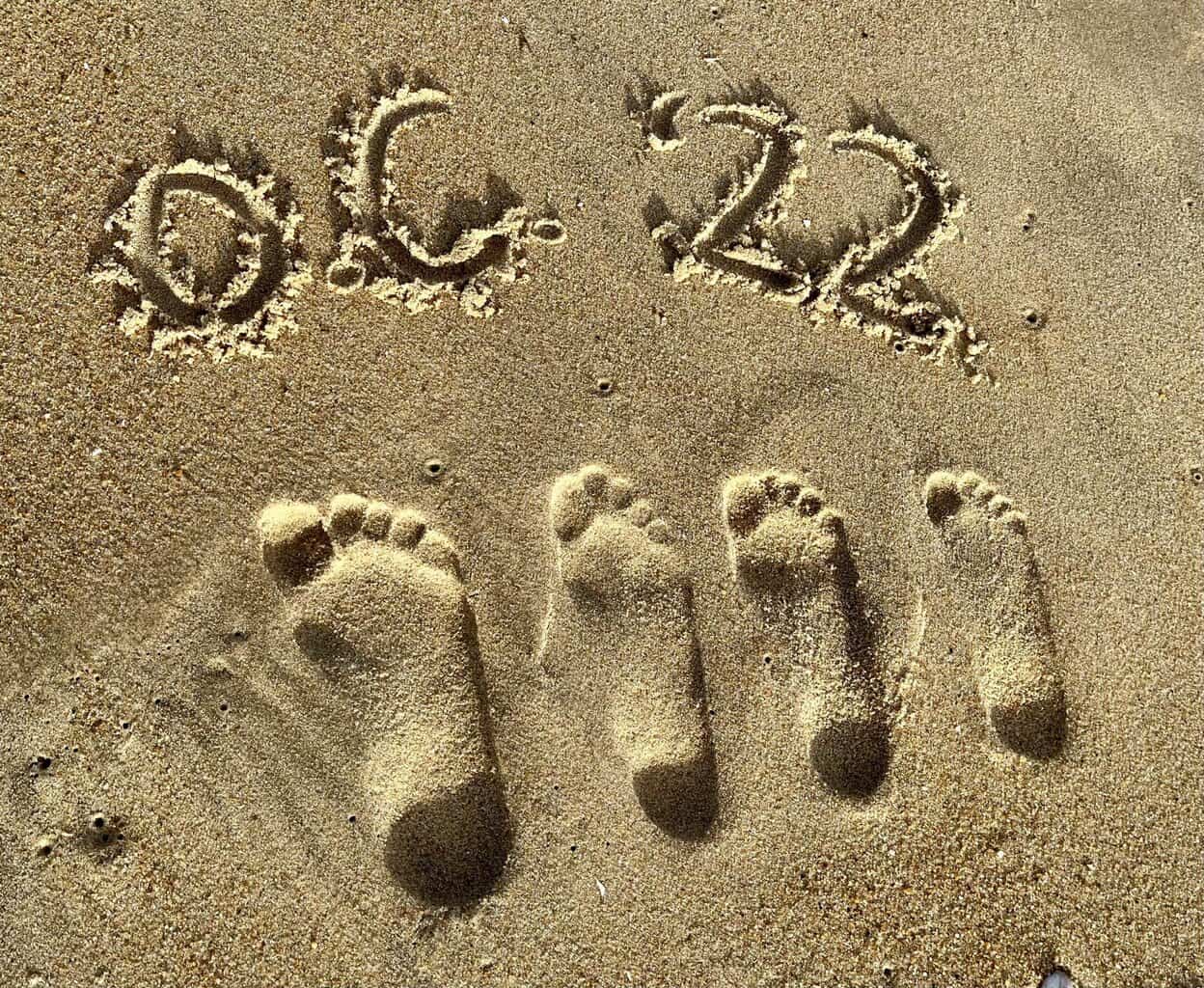 Help Us Add New Businesses to the 2023 Best of Ocean City® Polls