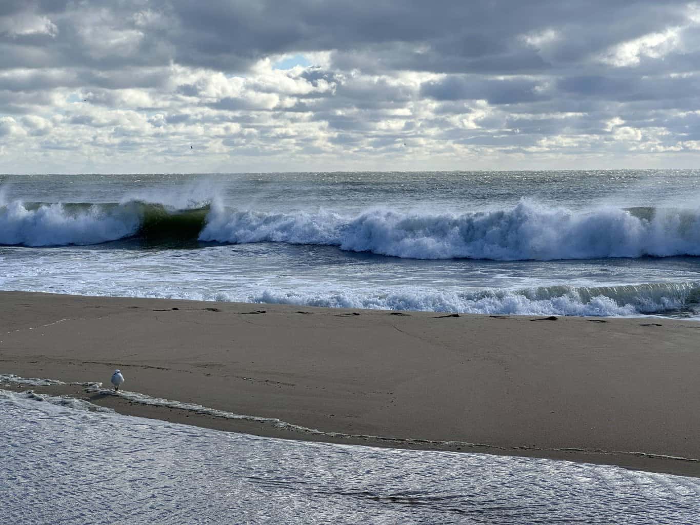 Fiona's ripple effect on Ocean City