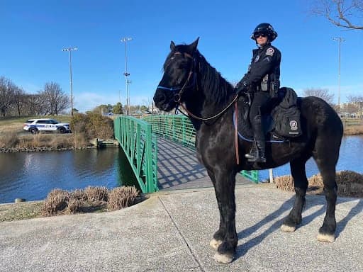 Welcome Riptide to The Ocean City Police Department