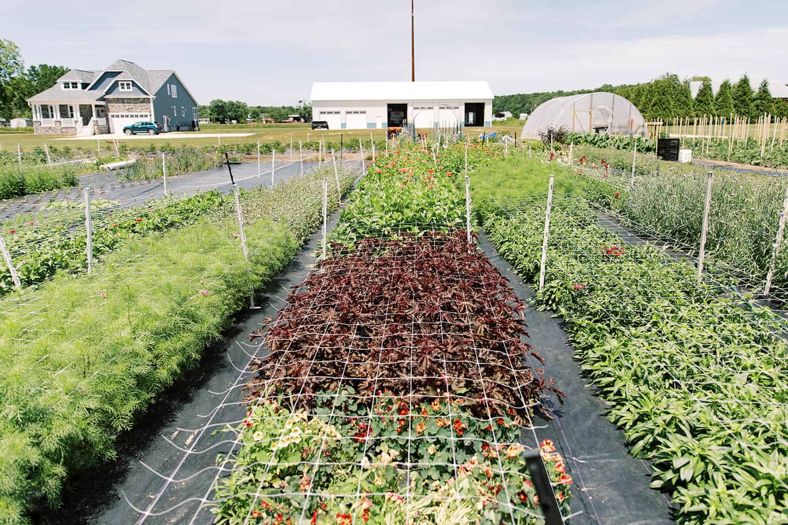 Living Local: A Floral Masterpiece