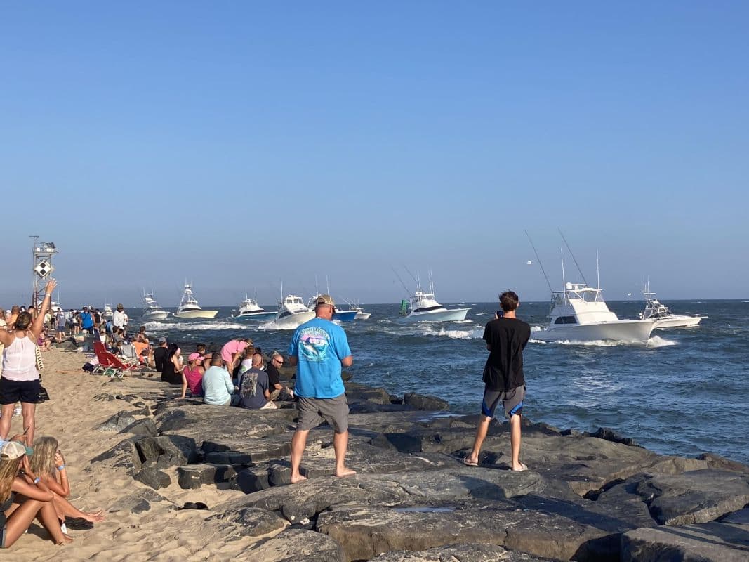 white marlin open inlet fishing