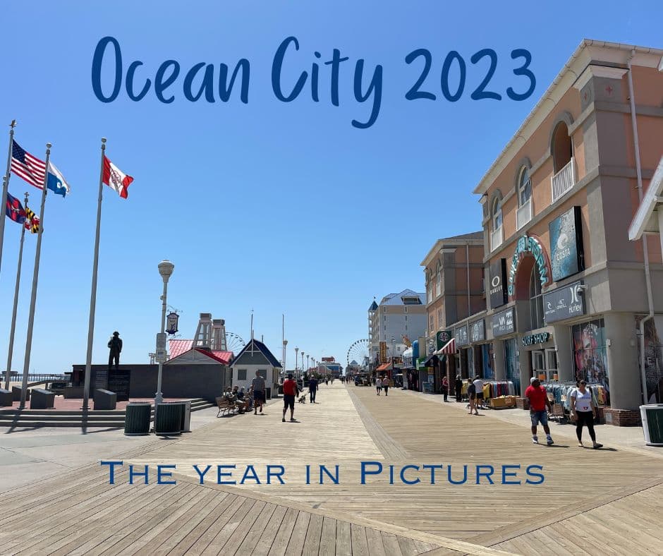A Year in Pictures - Ocean City Md