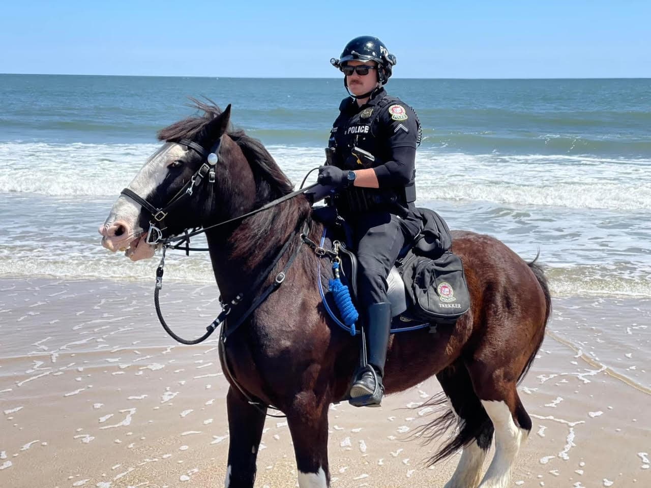 A New Horse on the Force: Buckshot