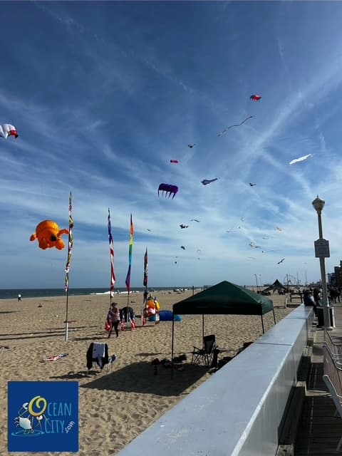 2025 Kite Fest