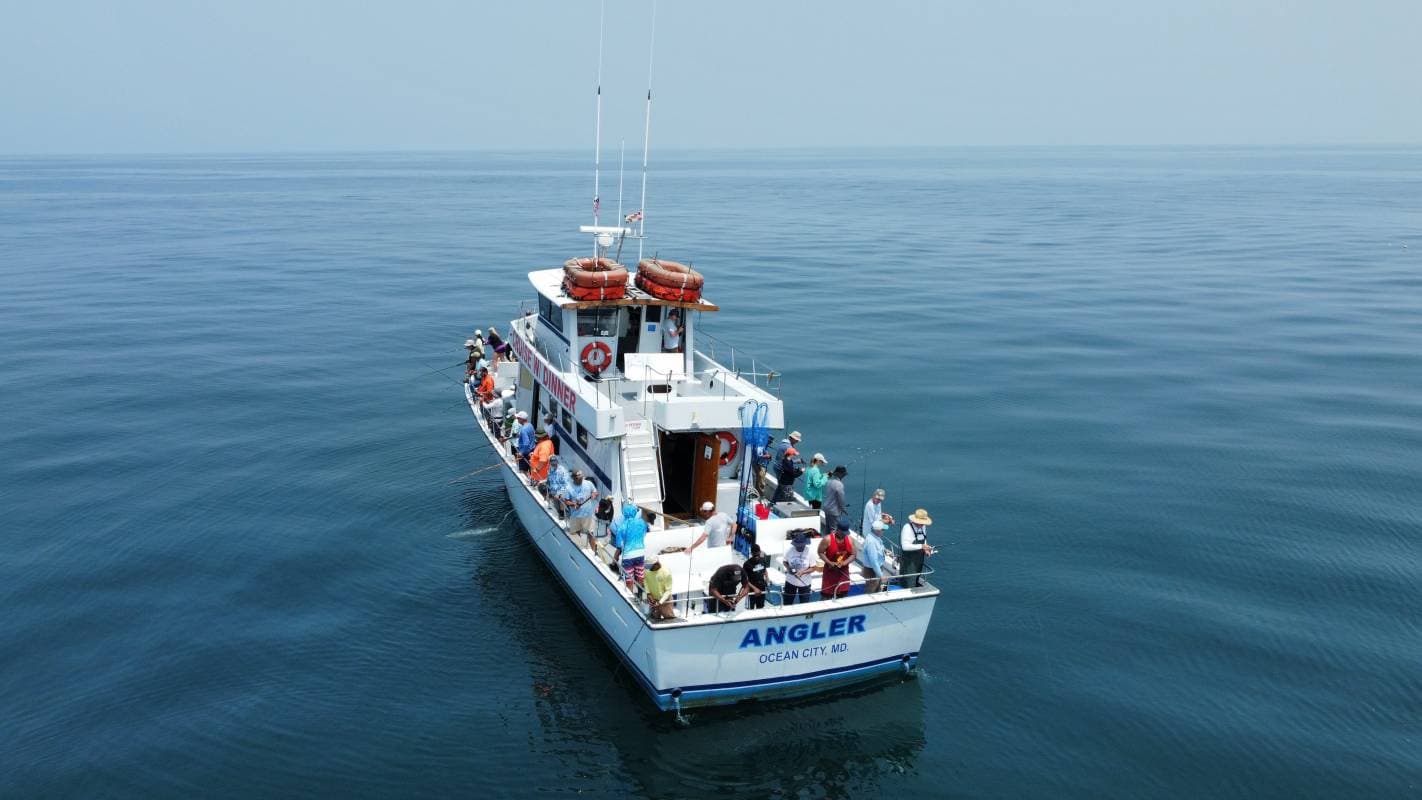 the Angler boat offers 3 nightly sunset tours.