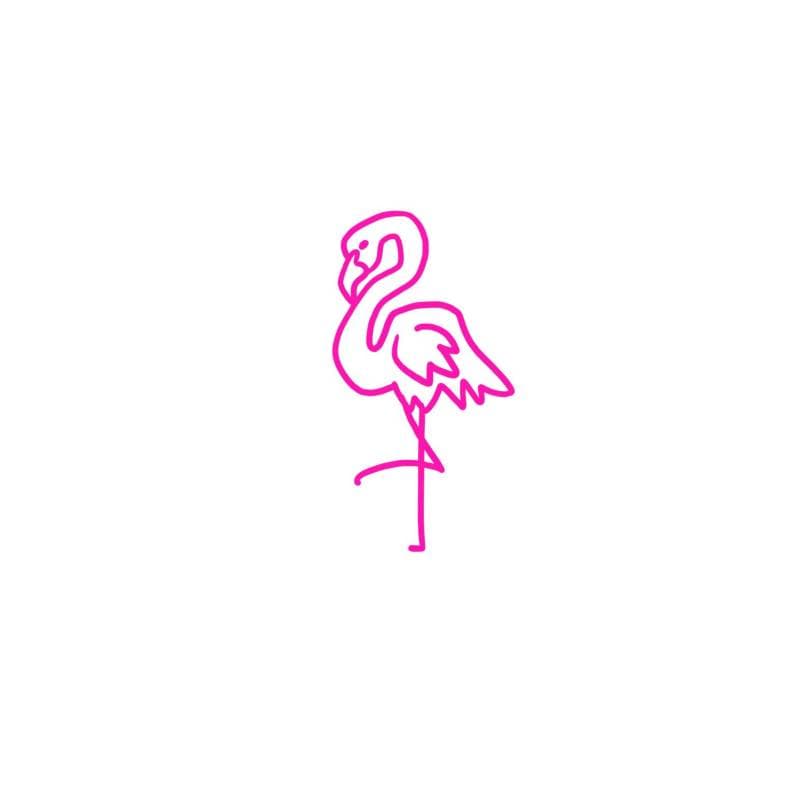 Flamingo Coast
