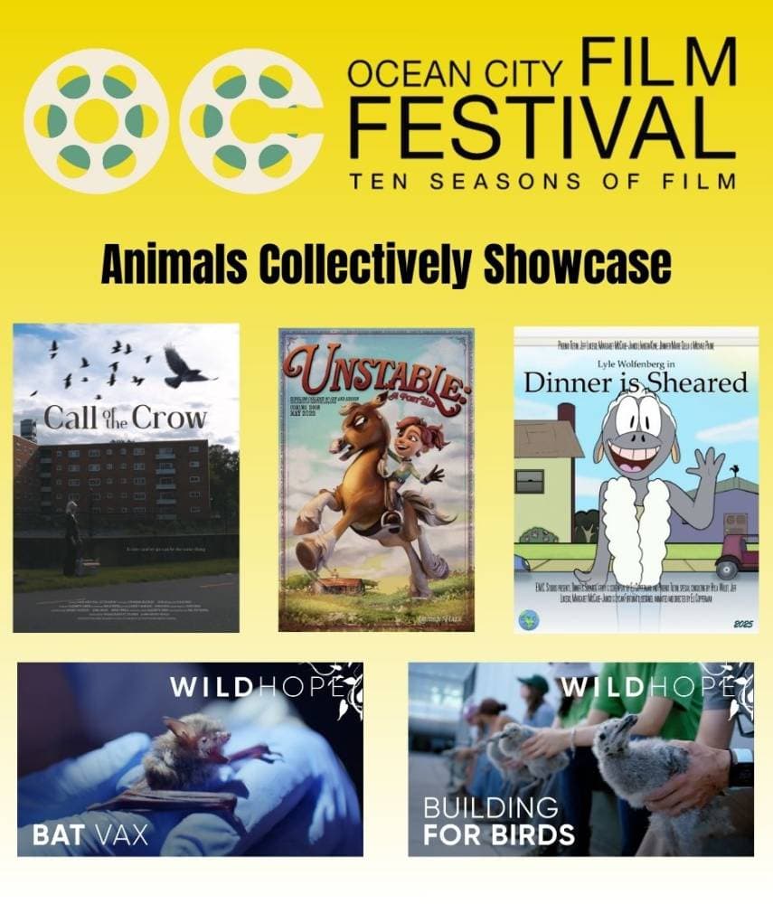 Ocean City, Maryland, Film Festival