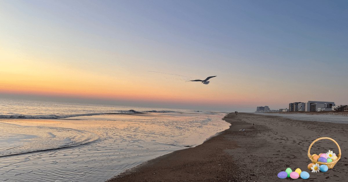 Ocean City Md beach at sunrise