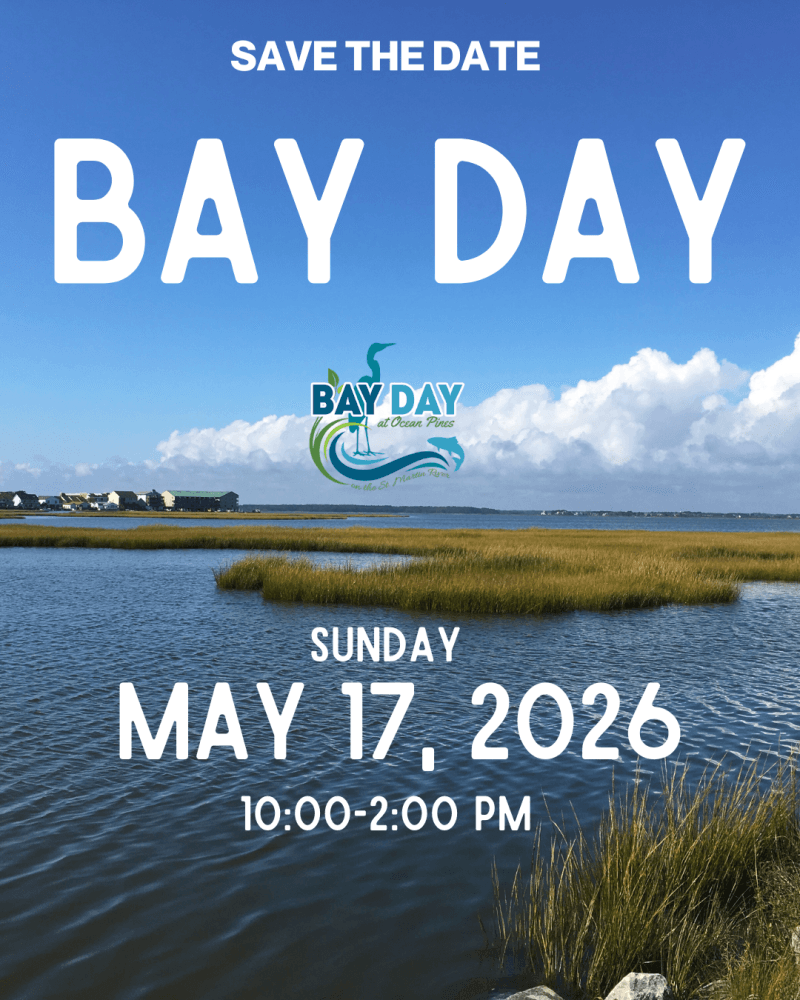 Poster advertising Bay Day with a coastal marsh scene, large white 'BAY DAY' text, and date/time: Sunday May 17, 2026, 10:00–2:00 PM.