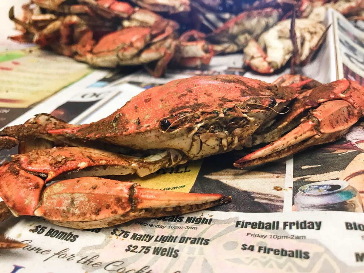 Crab