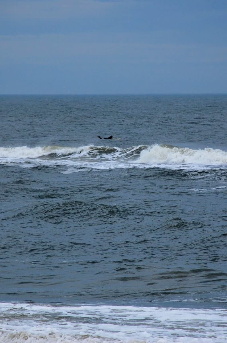 An off-season afternoon on Assateague Island