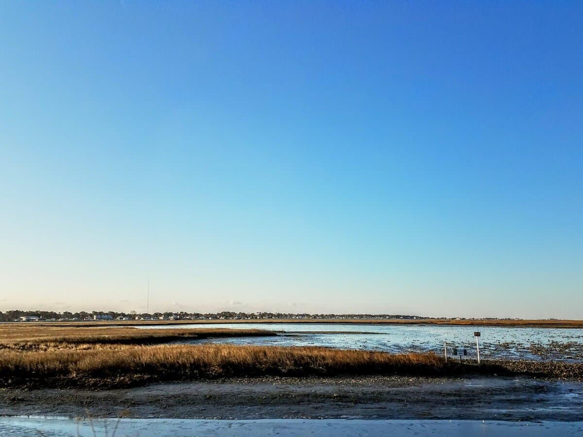 Chincoteague: The other horse island
