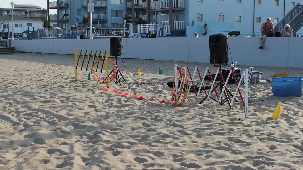 An evening at the Family Beach Olympics