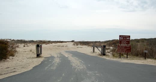 6 ways to get the most out of driving on the Assateague Island Beach