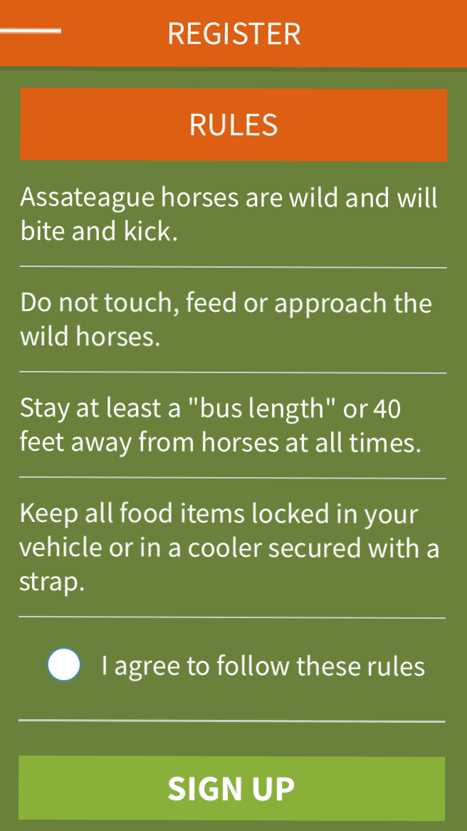 Trying out the Assateague Horse ID app