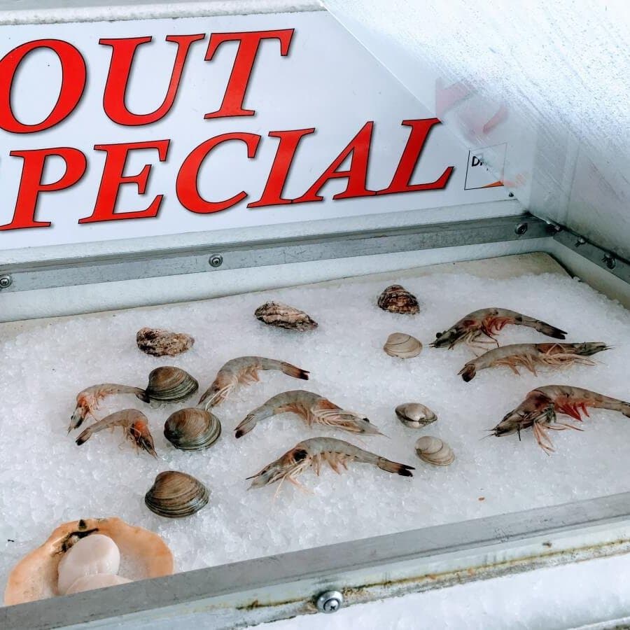 Get fresh fish from the Shrimp Boat all year