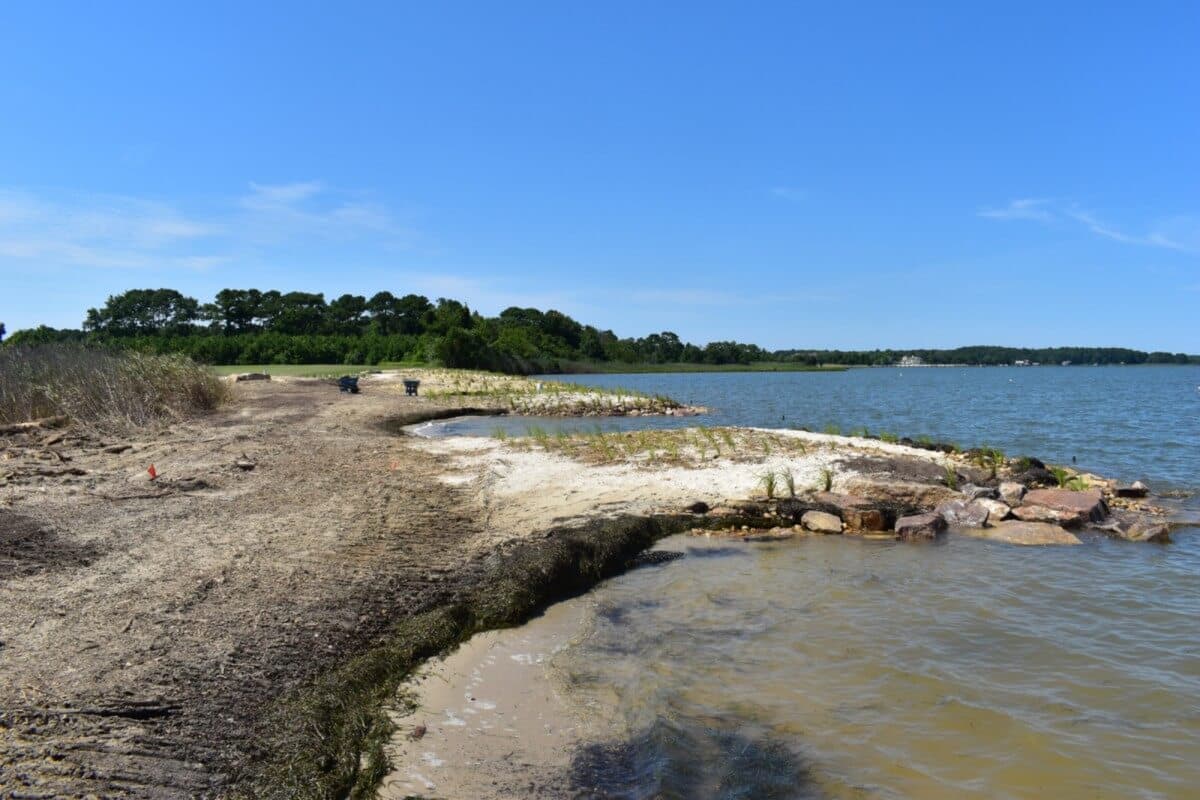 Resiliency project keeps Assateague's shoreline protected