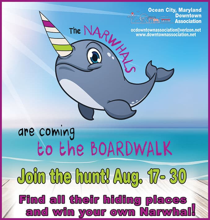 Have you seen a Narwhal in Ocean City?