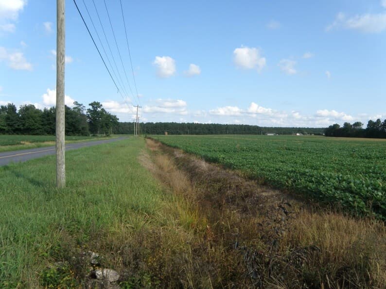 The Tale of the Pocomoke: Following the Pocomoke River