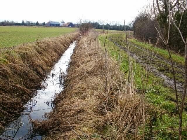 Environmental Concerns and Your Property