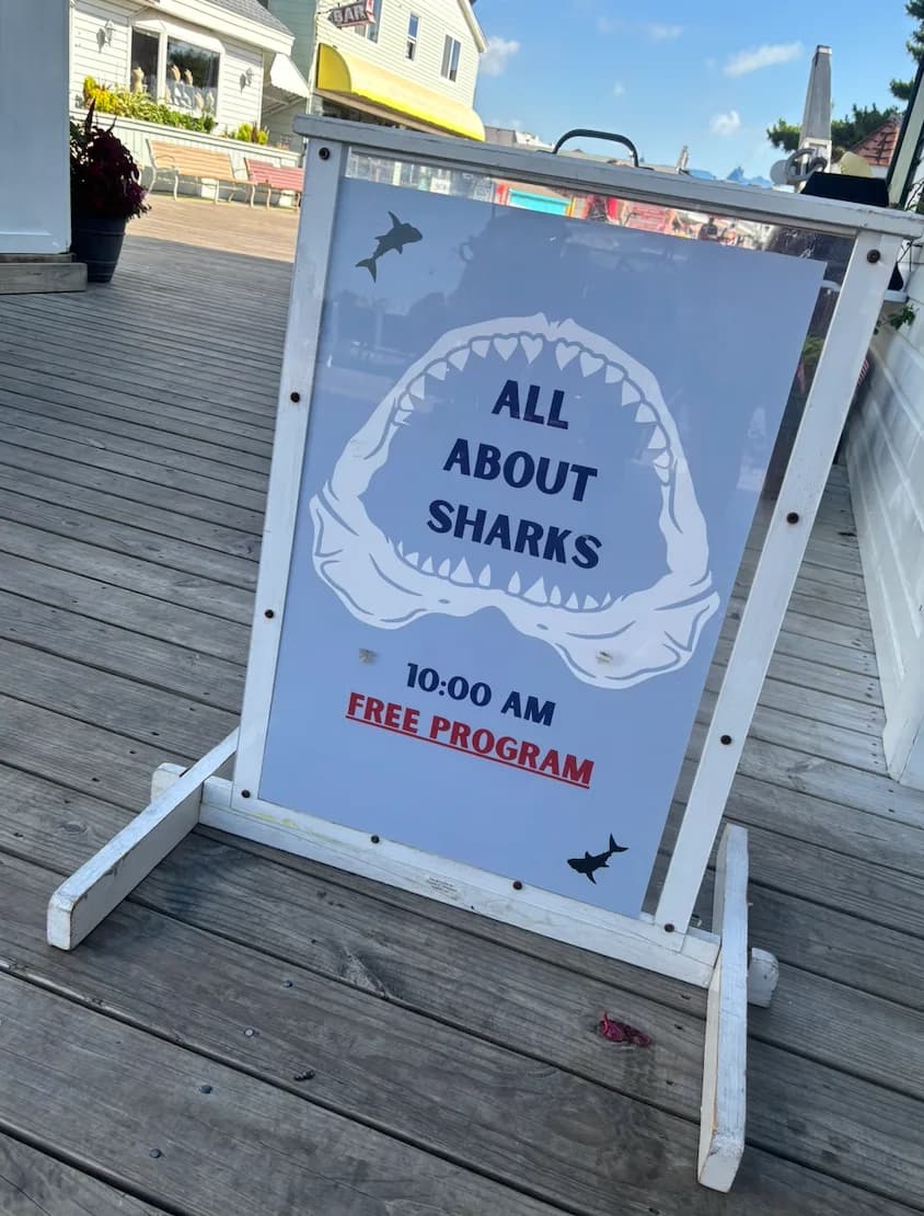 all about sharks.png