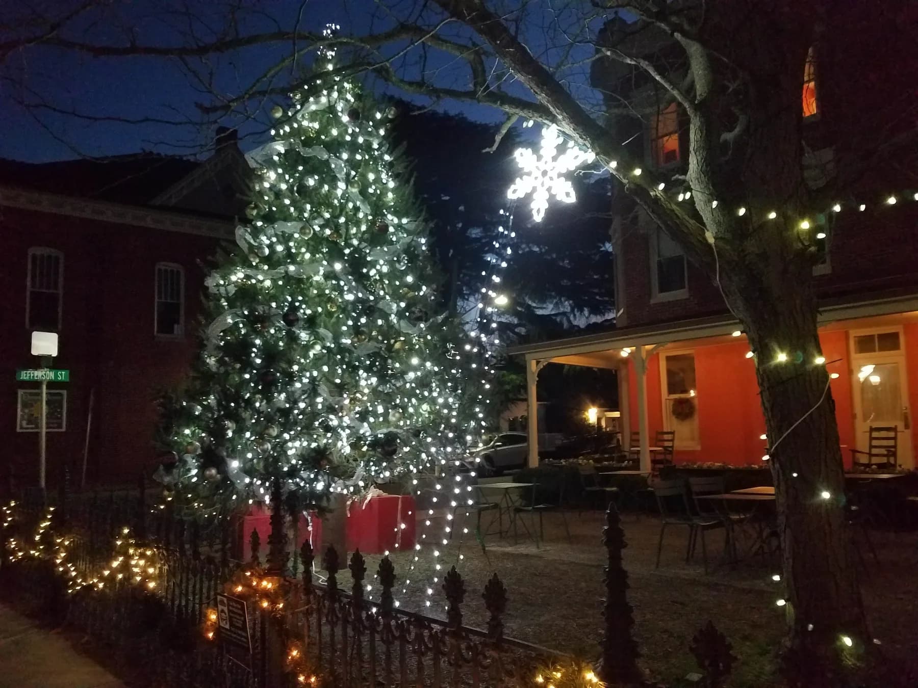 Berlin Christmas Tree.jpg