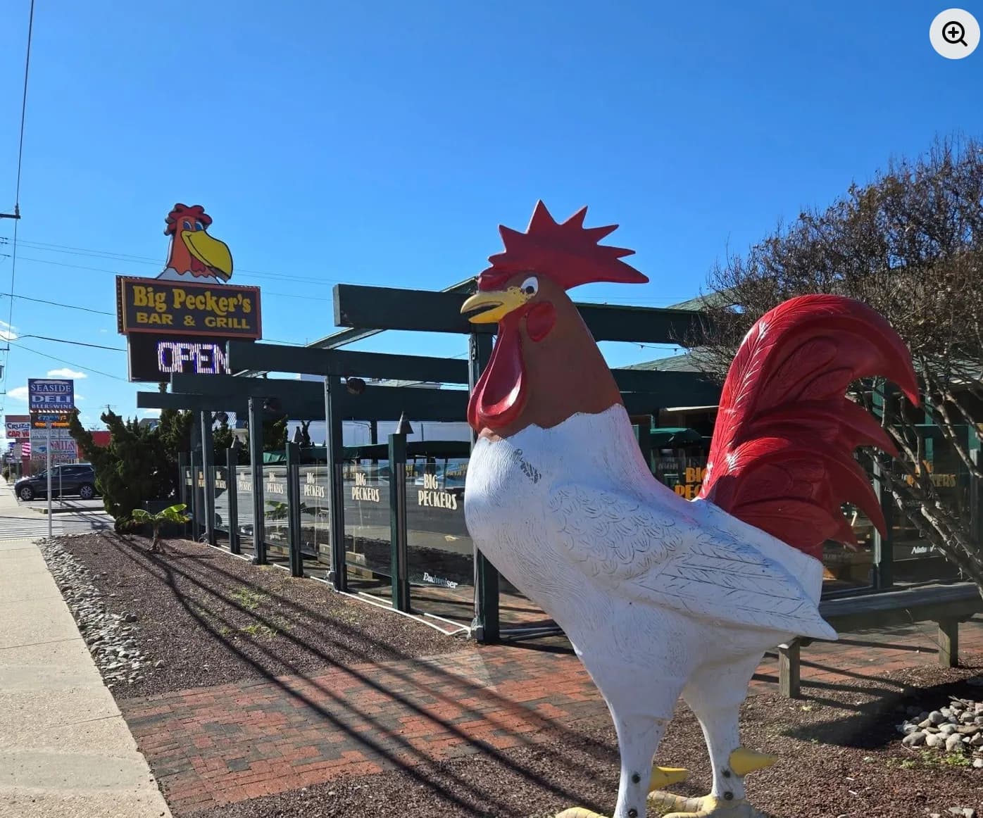 Big Peckers Bar & Grill