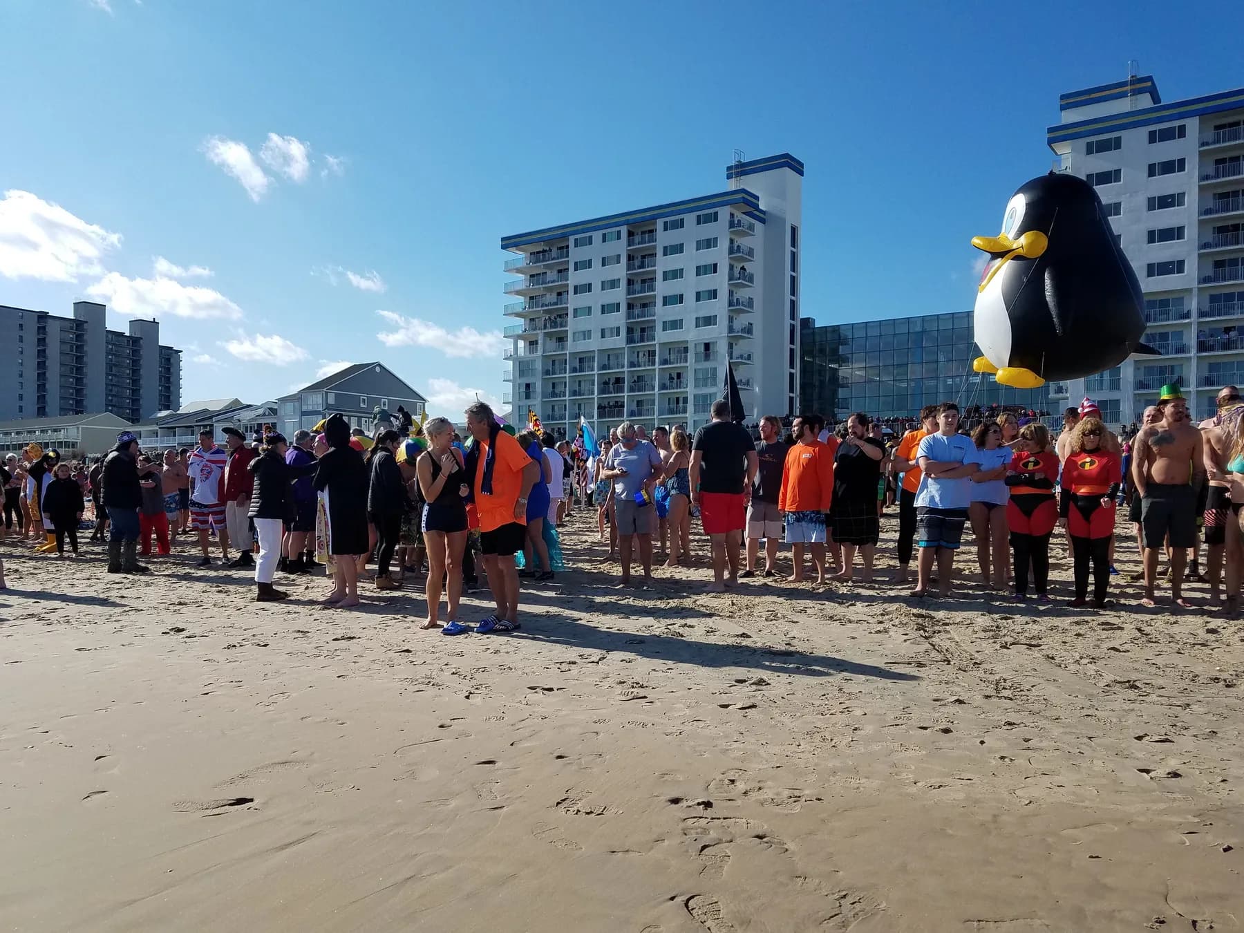 penguin swim.jpg