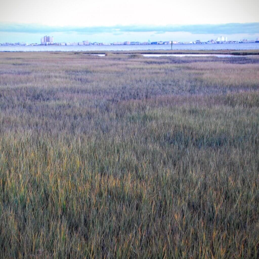 Ocean City over the marsh