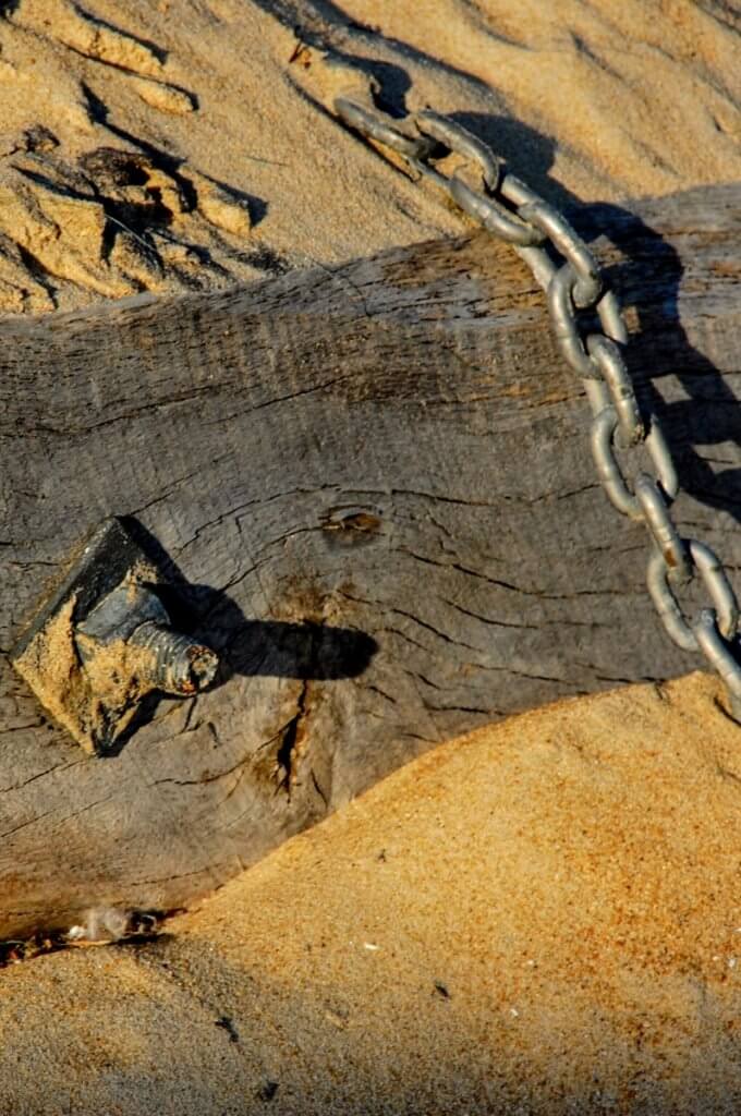 wood on the beach
