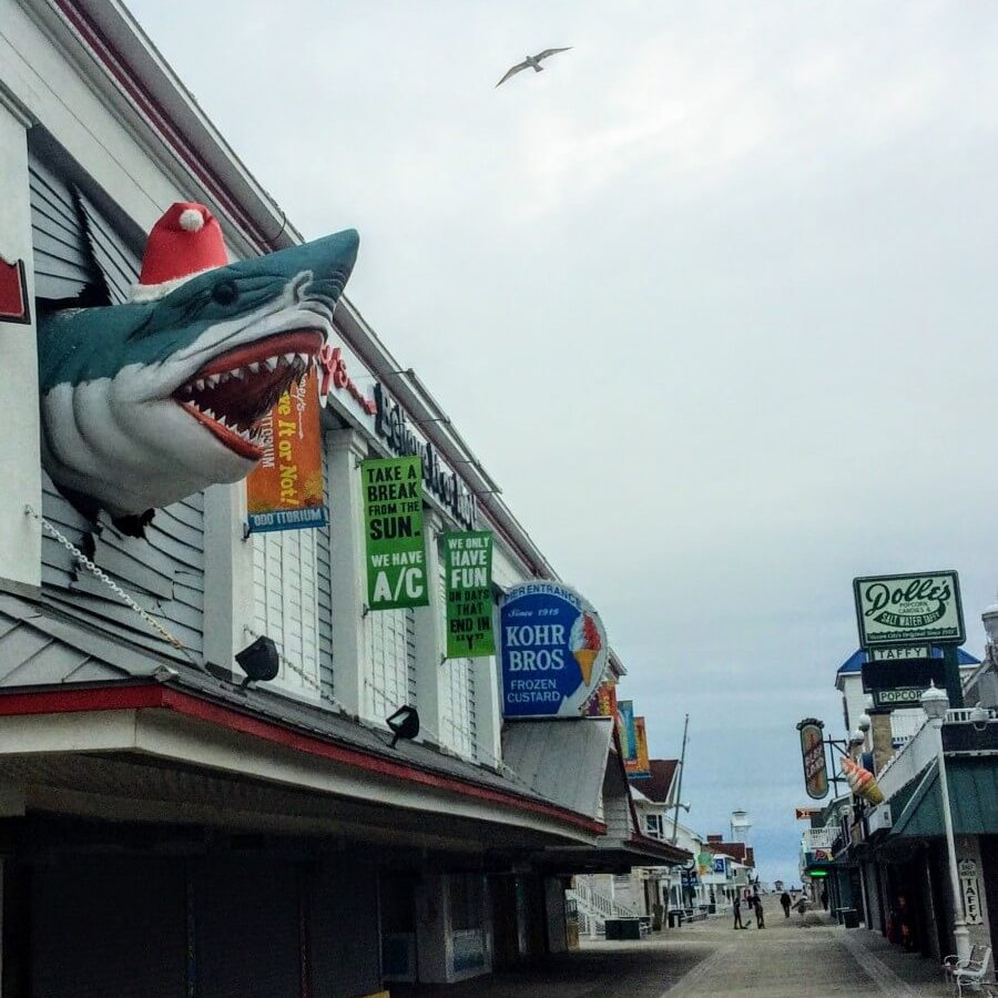 Ripley's Shark