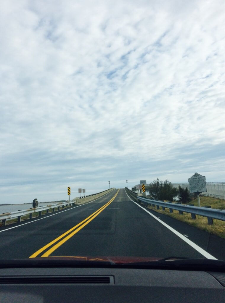 Verrazano Bridge