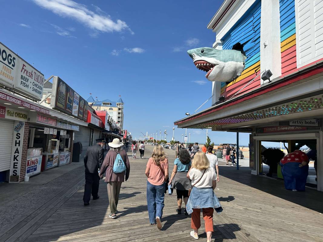 ripleys believe it or not and the shark