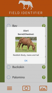 Horse app