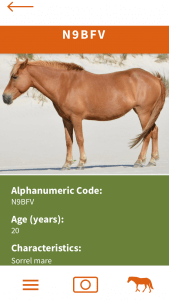 Horse app
