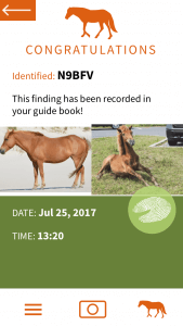 Horse app