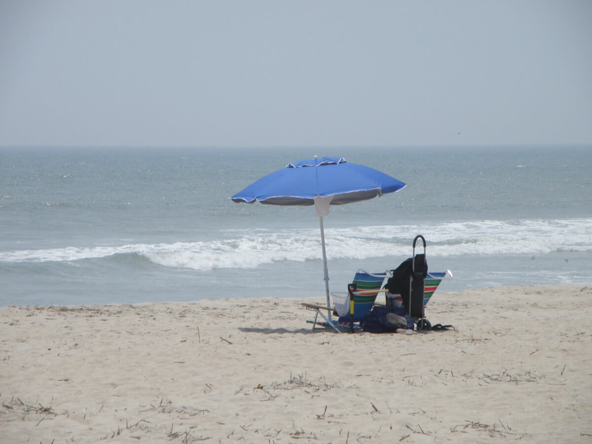 6 Ways To Get The Most Out Of Driving On The Assateague Island