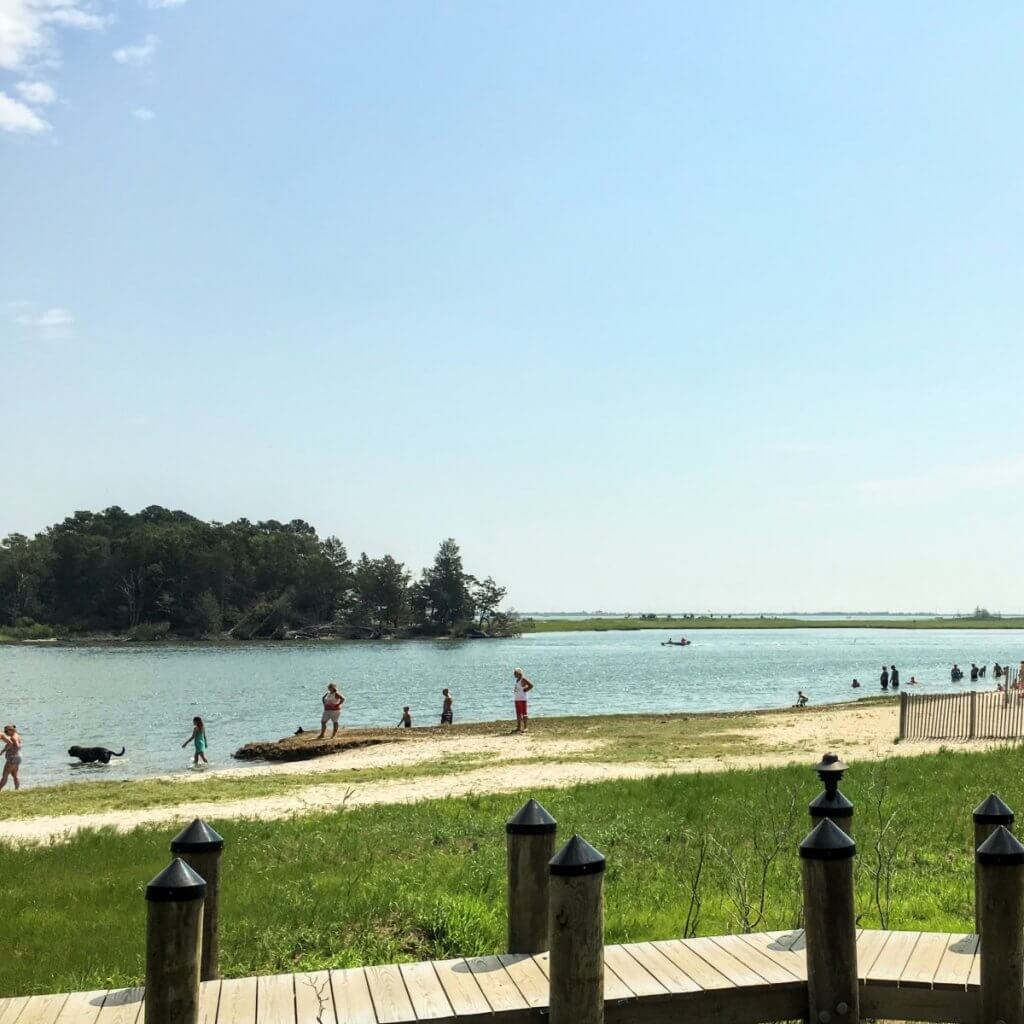 dogs at masseys landing resort