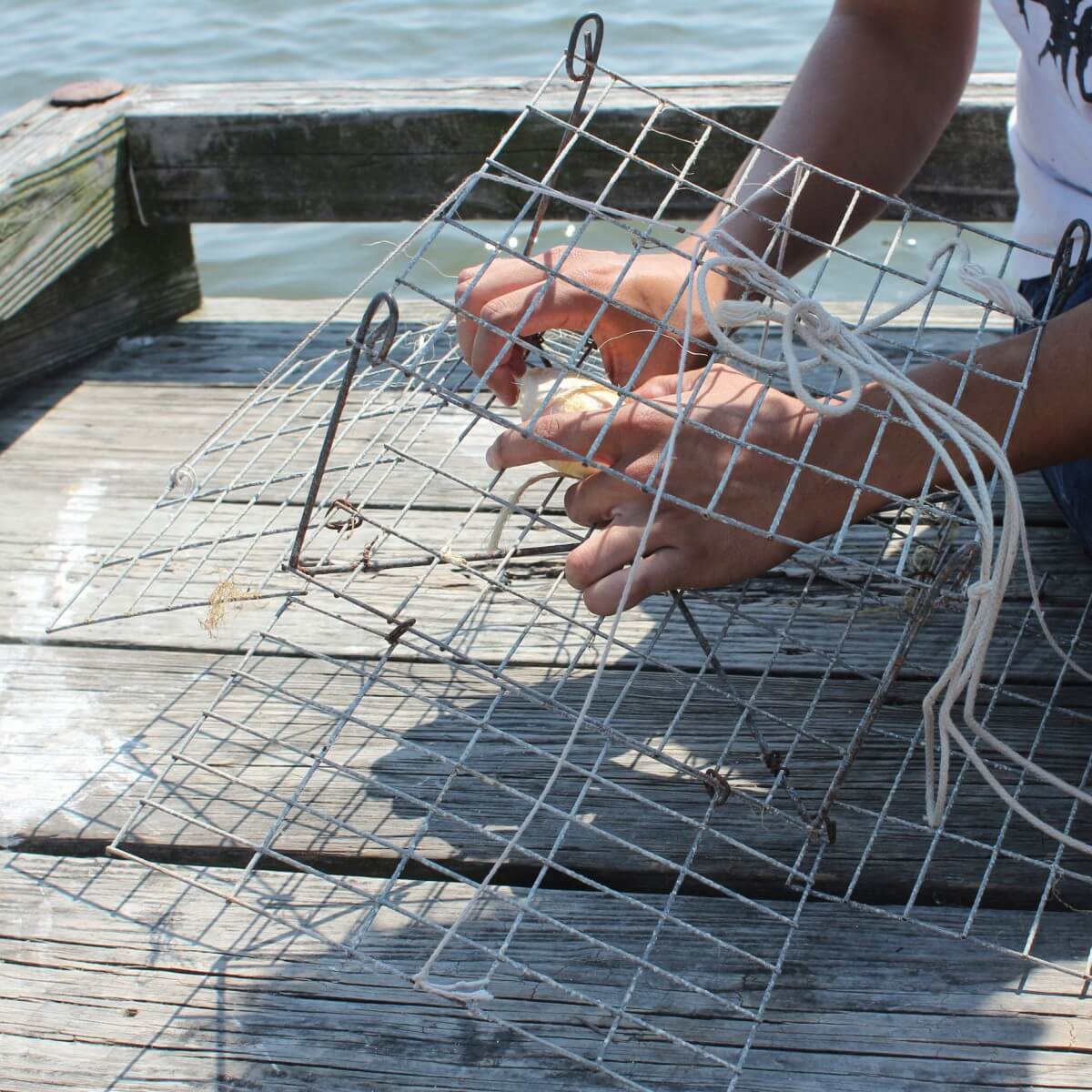 Crab trap