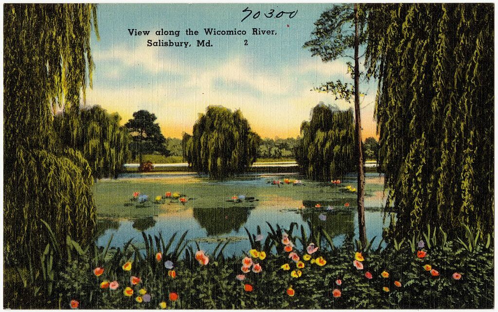 Postcard